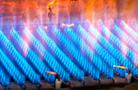 Willen gas fired boilers